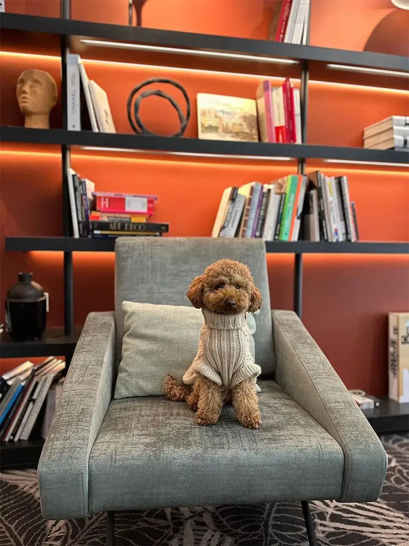 Beige Fishbone Dog Jumper