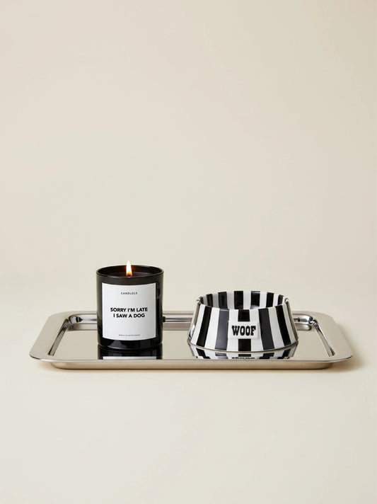 Sorry I'm Late I Saw A Dog Candle