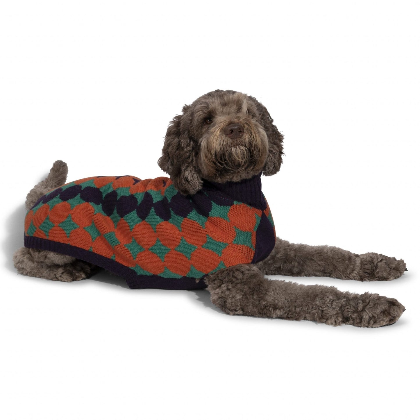 Cirque Dog Jumper