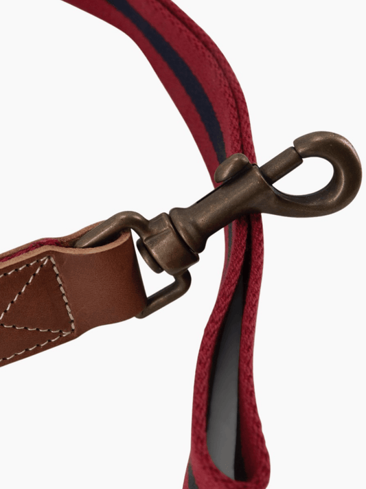 Dog Leash Red