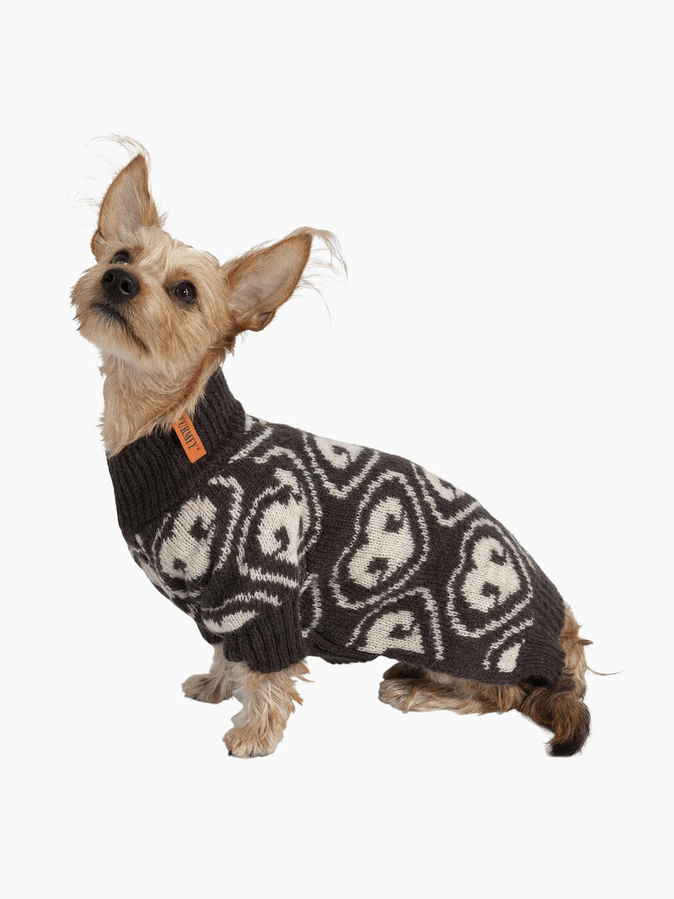 Nez Dog Jumper in Beige