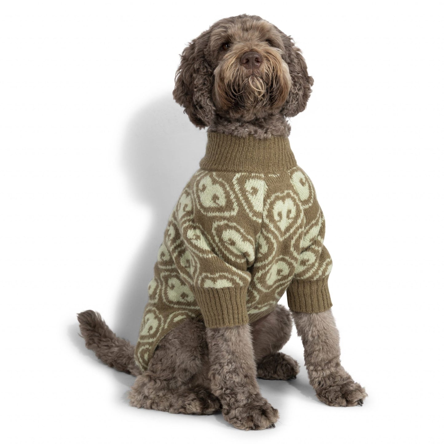 Nez Dog Jumper in Green