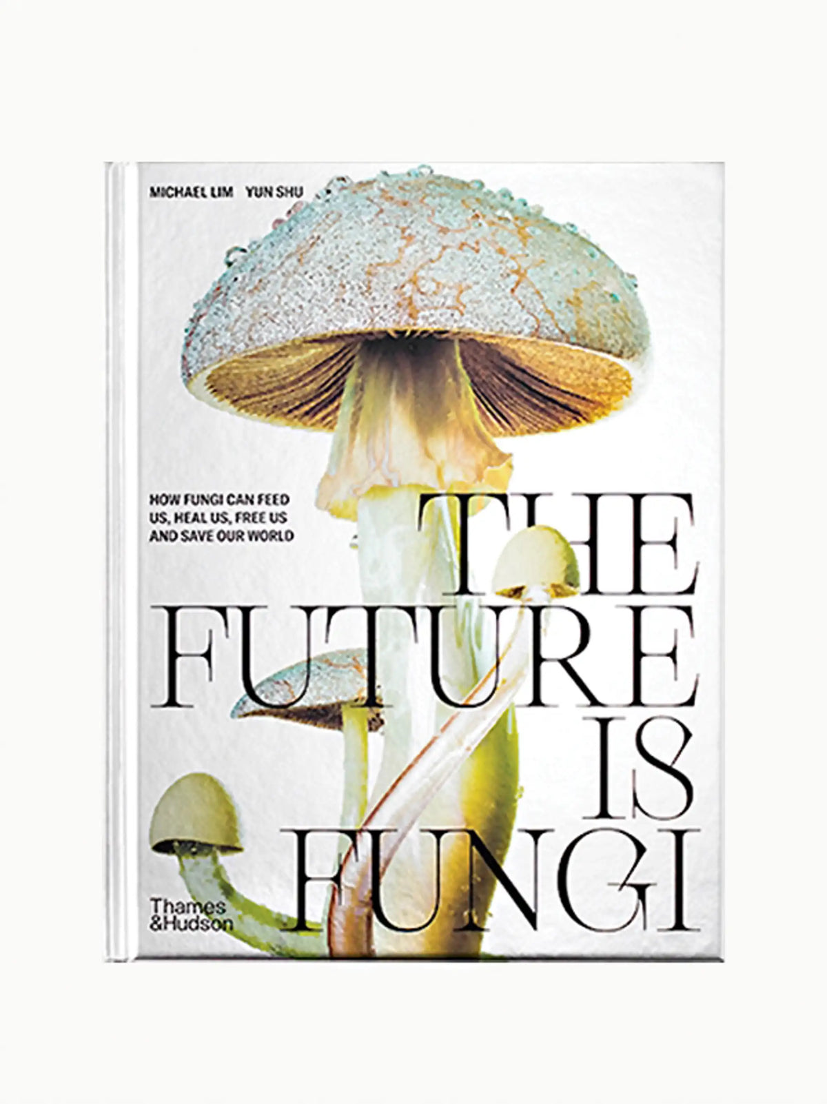 The Mushroom Coffee Table Book Stack