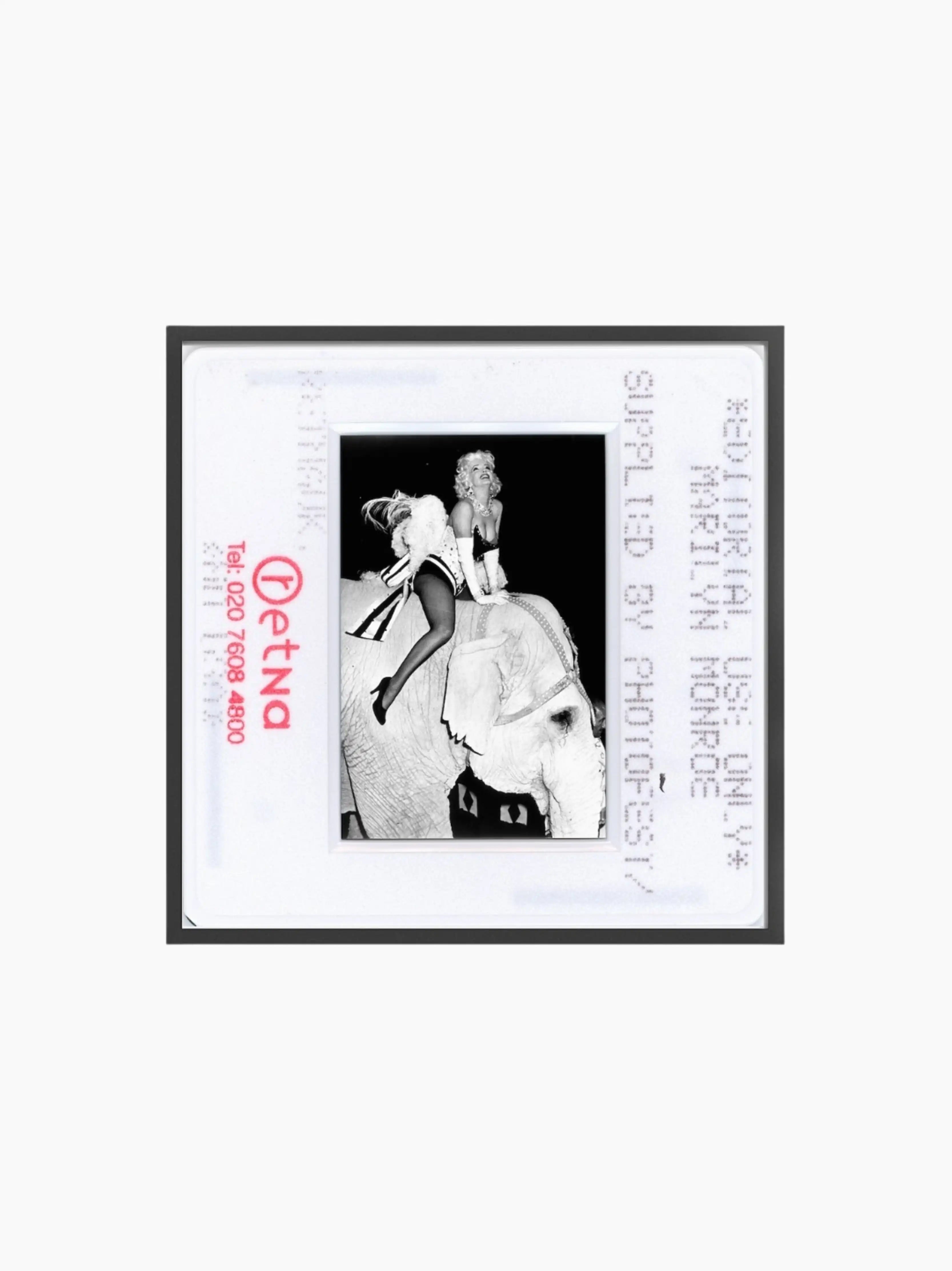 Marilyn Monroe Riding an Elephant Print | The Go-To