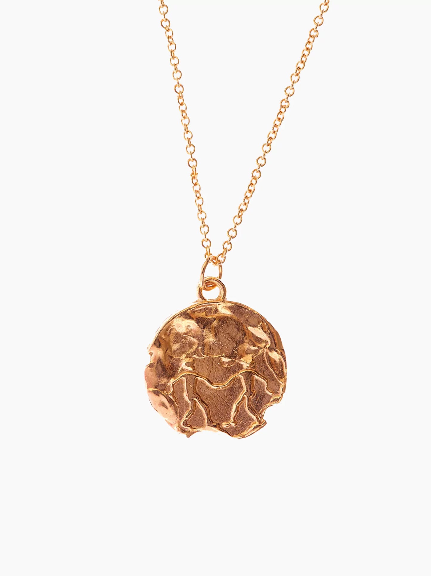 Zodiac Medallion Necklace