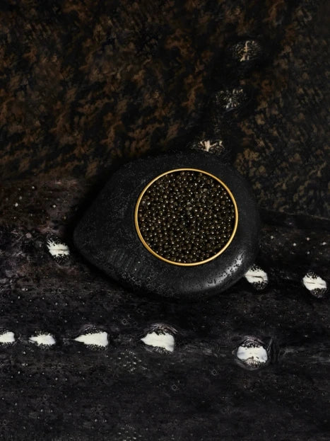Beluga Caviar