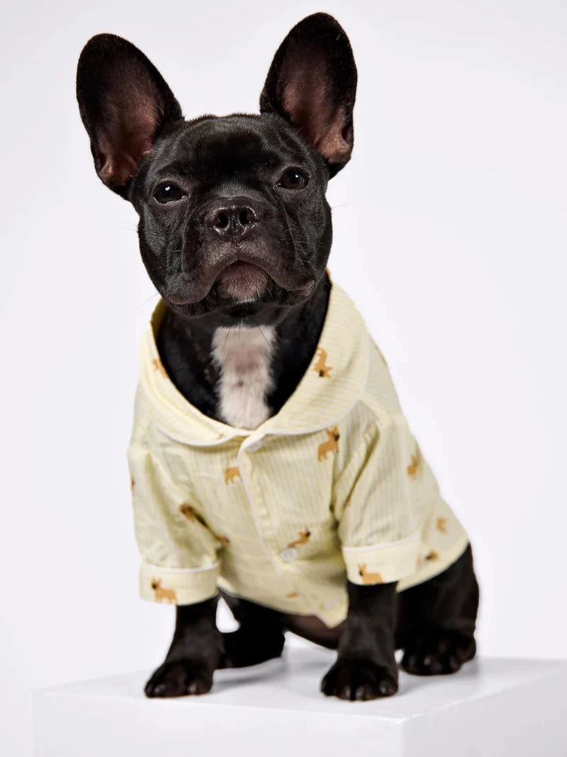 Frenchie Dog & Owner Matching Pyjamas