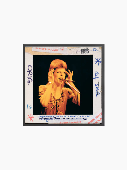 David Bowie The Rise And Fall Of Ziggy Stardust Print