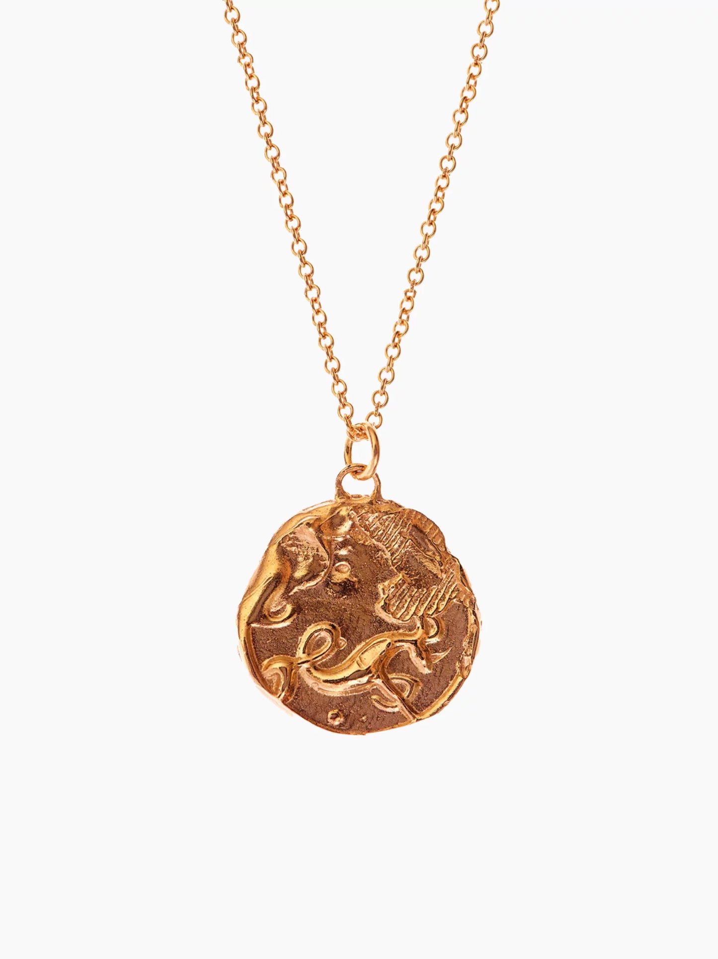 Zodiac Medallion Necklace