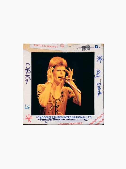 David Bowie The Rise And Fall Of Ziggy Stardust Print