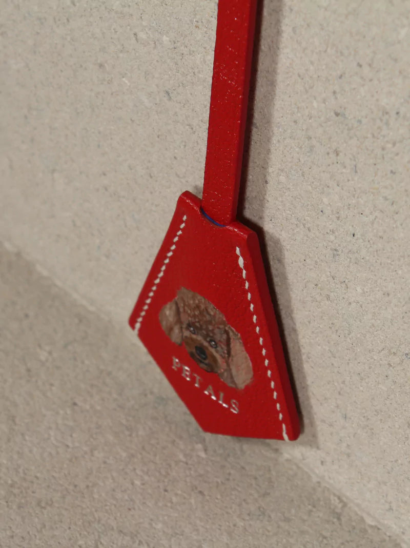 Red Leather Pet Charm