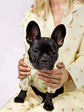 Frenchie Dog & Owner Matching Pyjamas