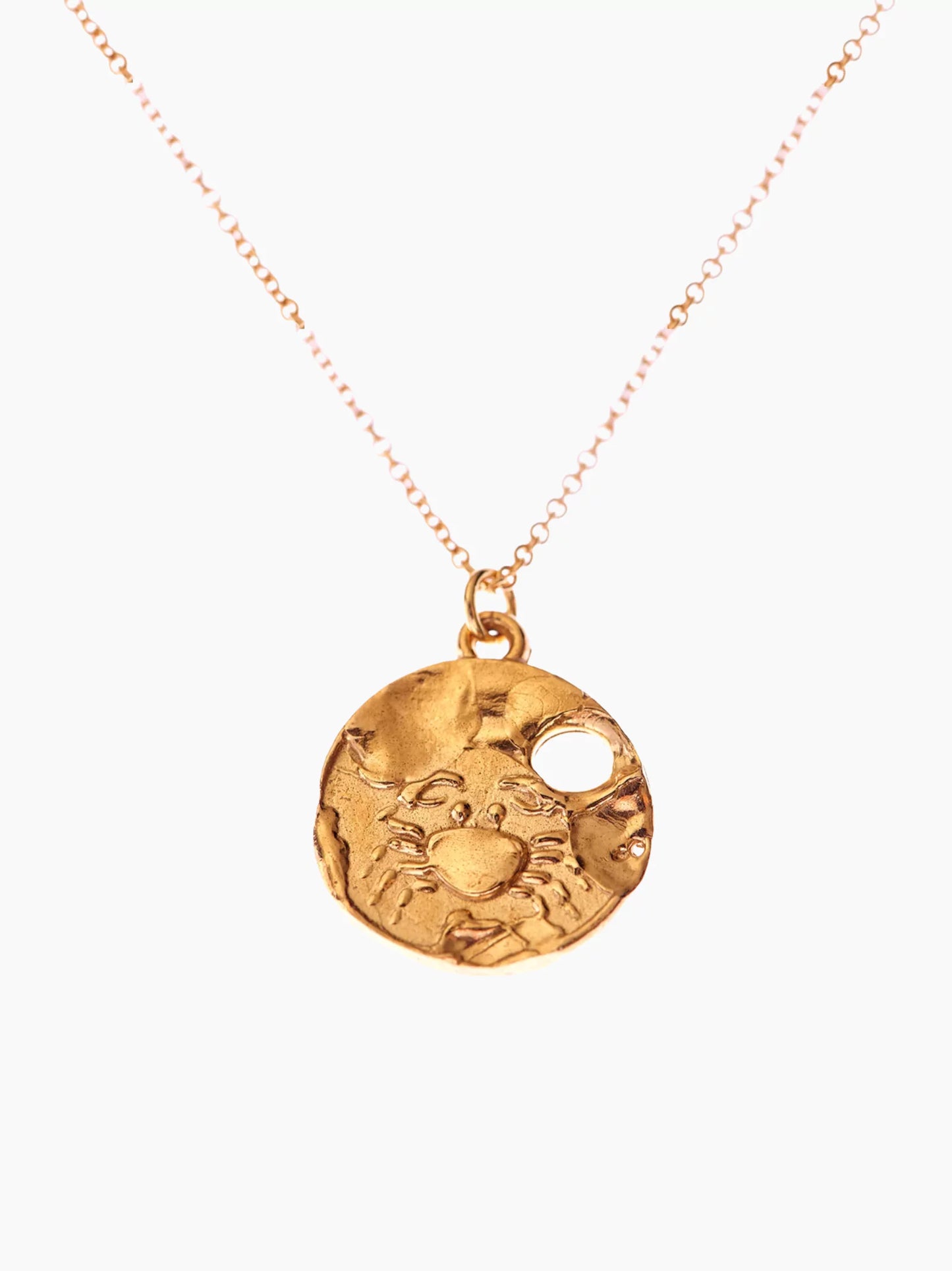 Zodiac Medallion Necklace