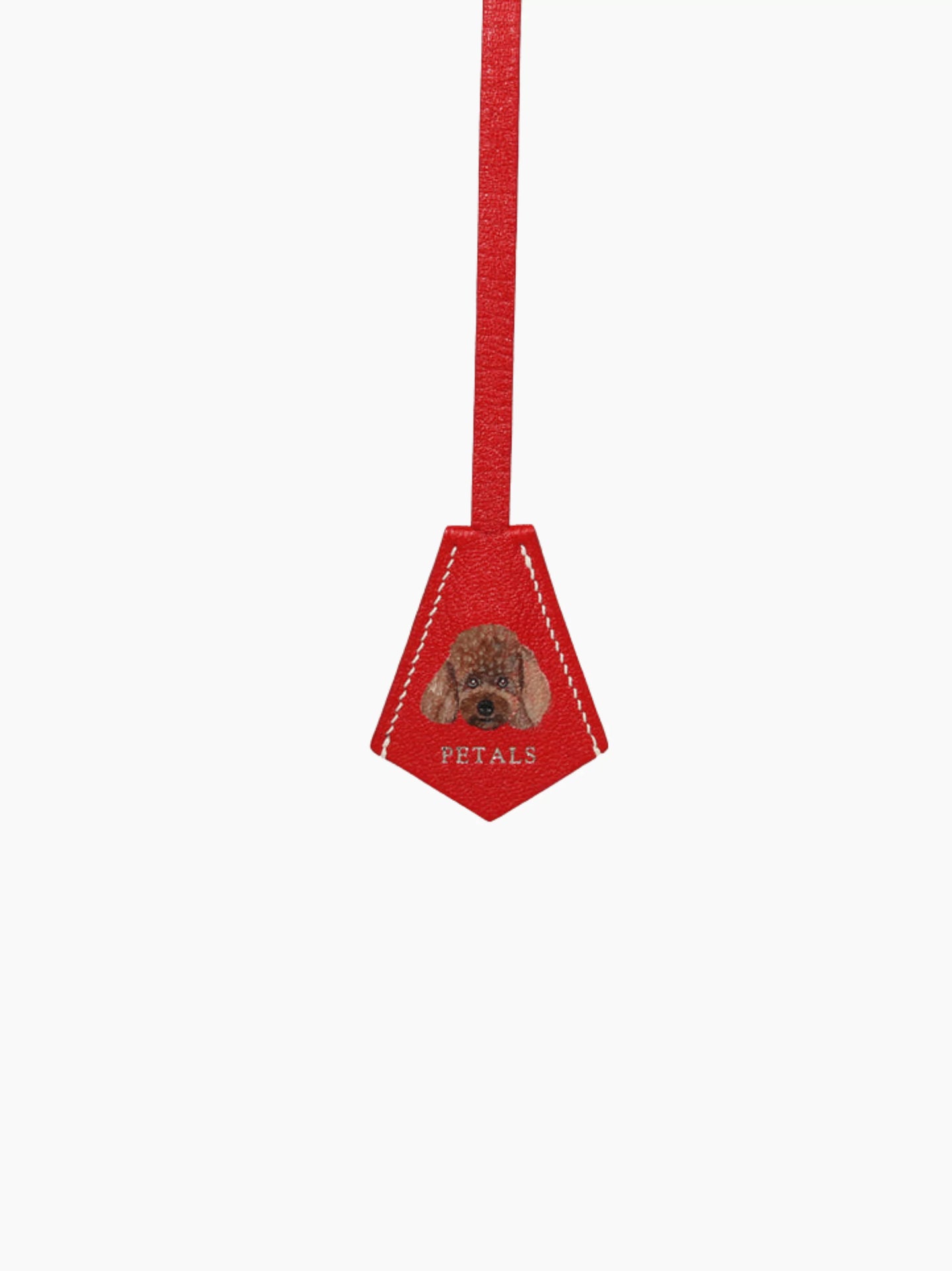 Red Leather Pet Charm