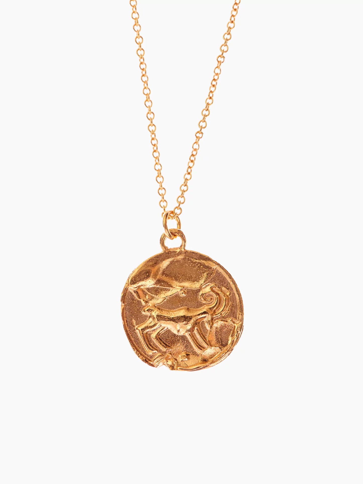 Zodiac Medallion Necklace