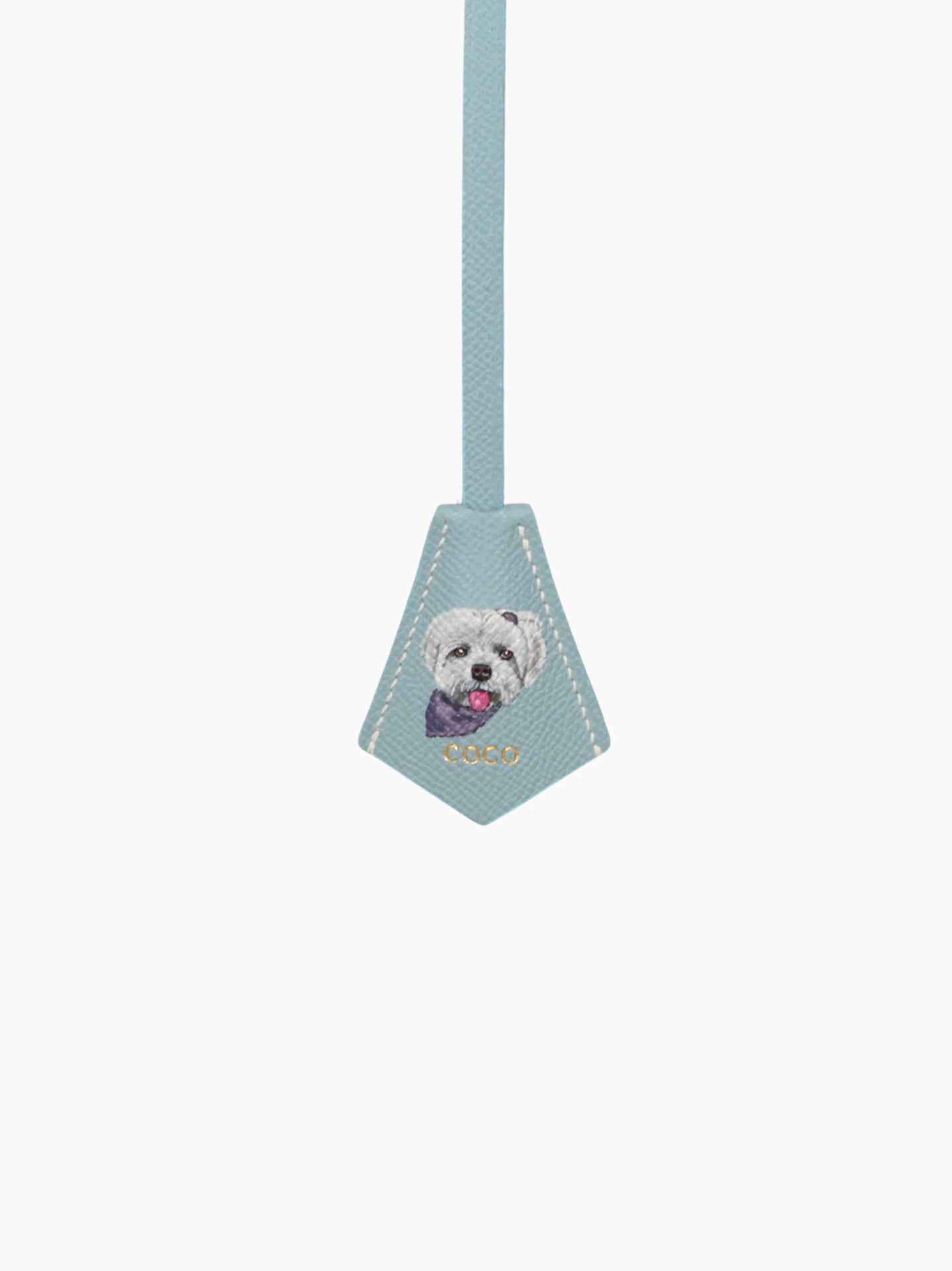 Sky Blue Leather Pet Charm