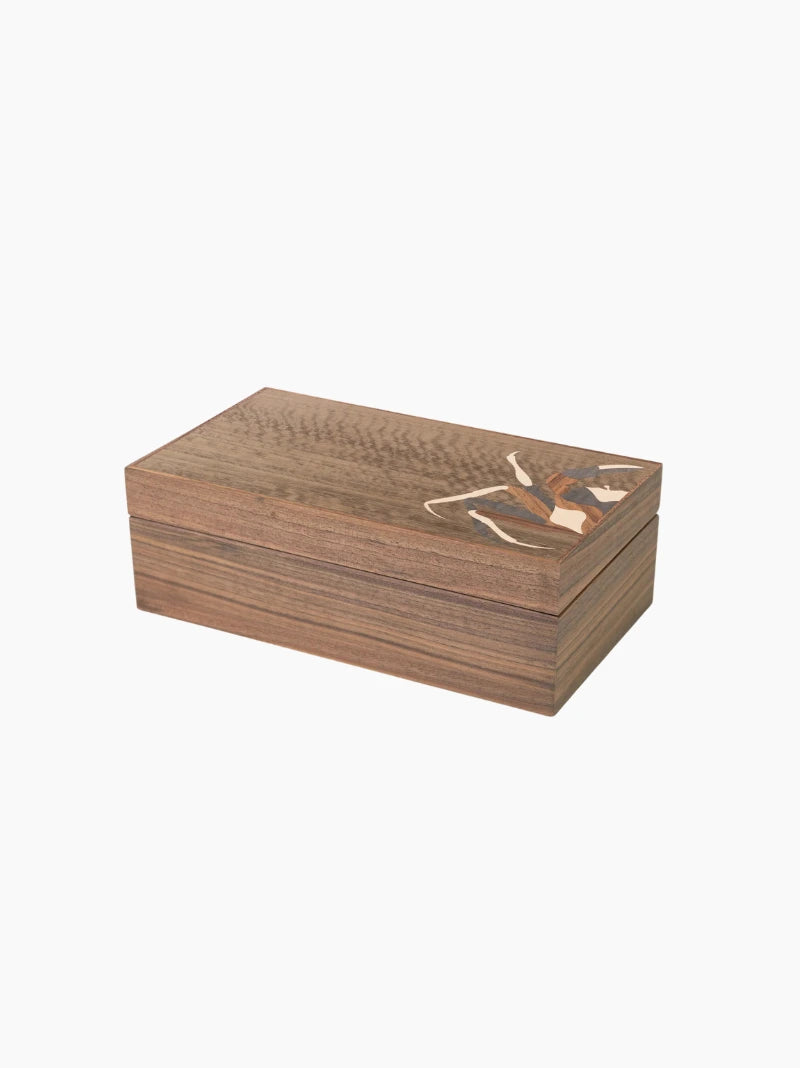 Large Zodiac Box