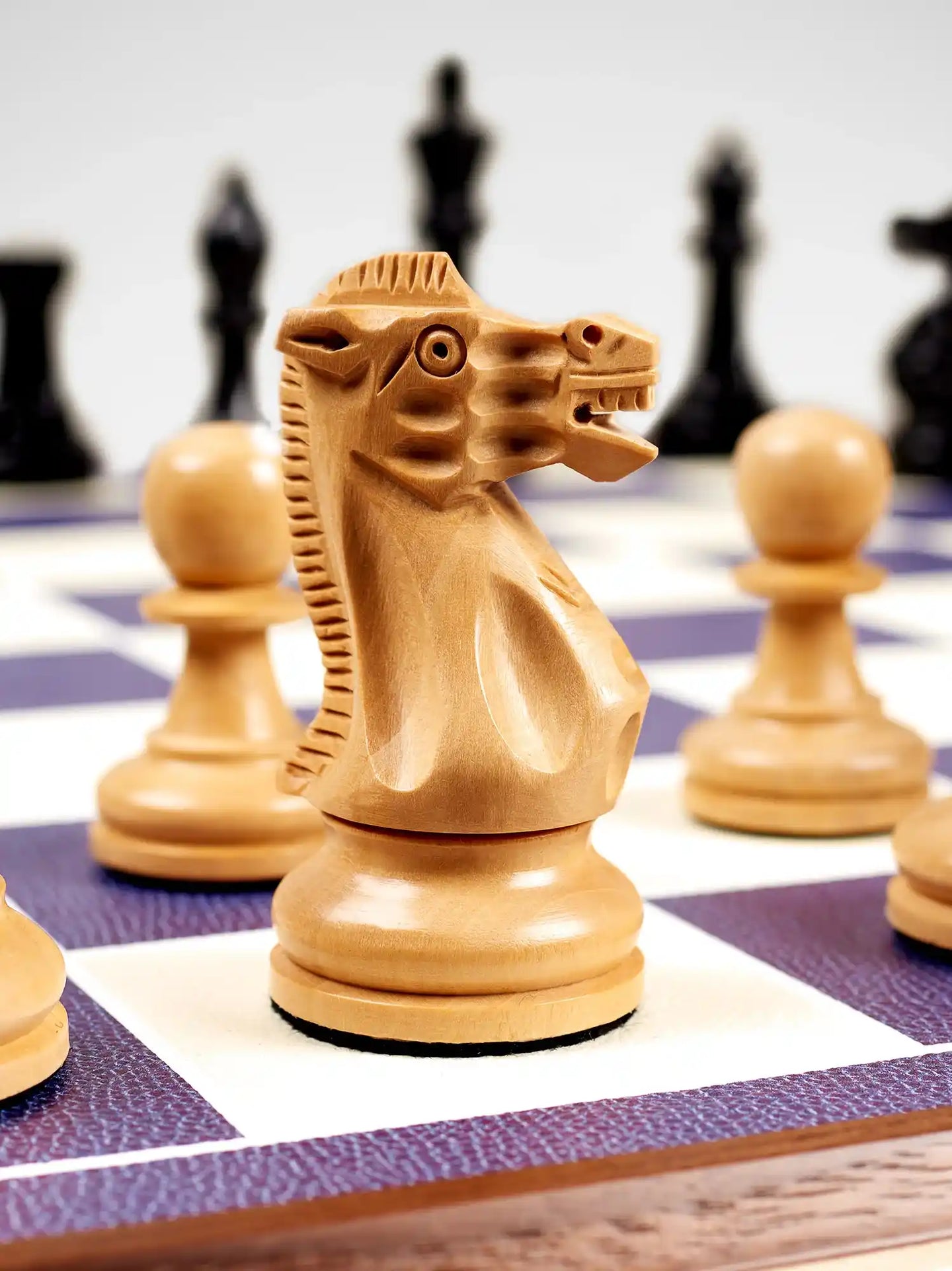 Chess & Backgammon Games Compendium