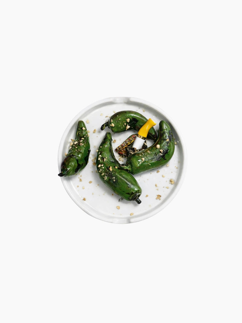 Beer Cap Padron Ashtray