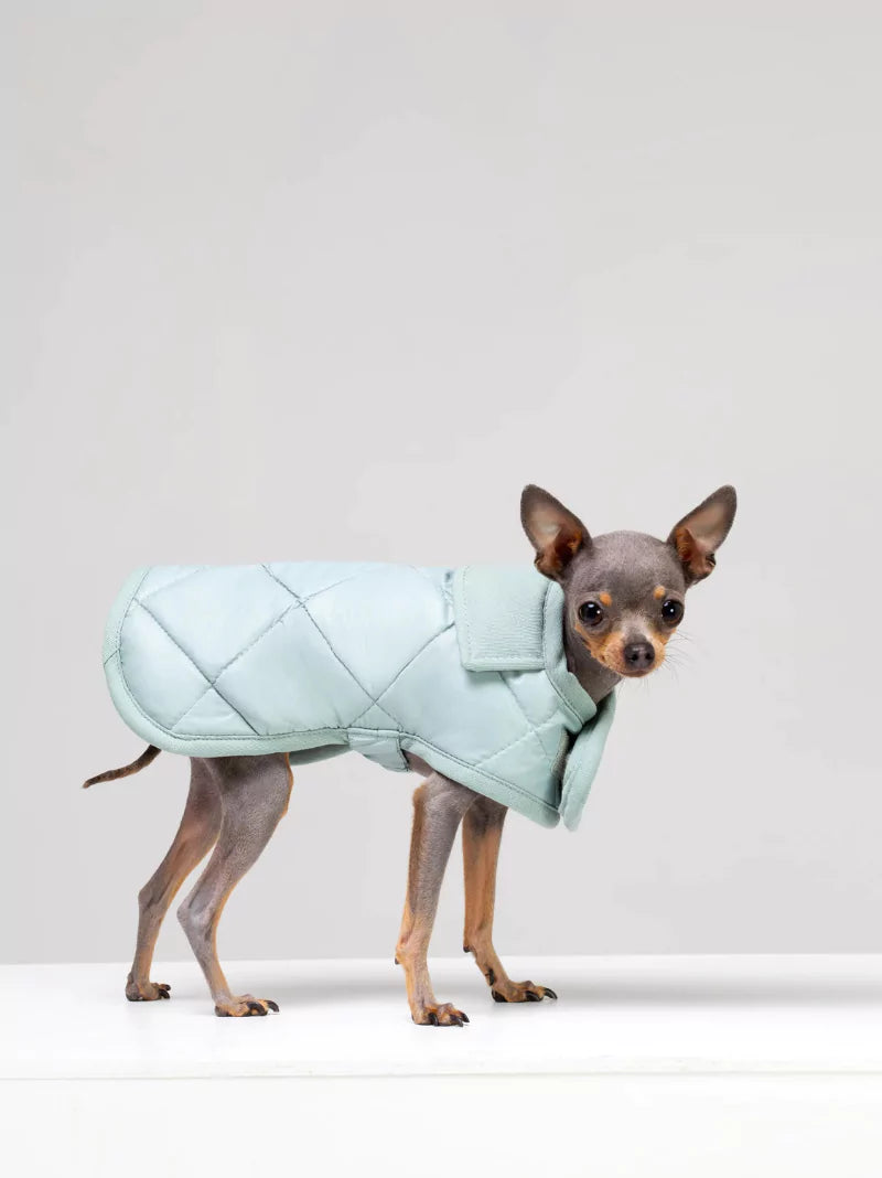 Blue Quilted Dog Coat