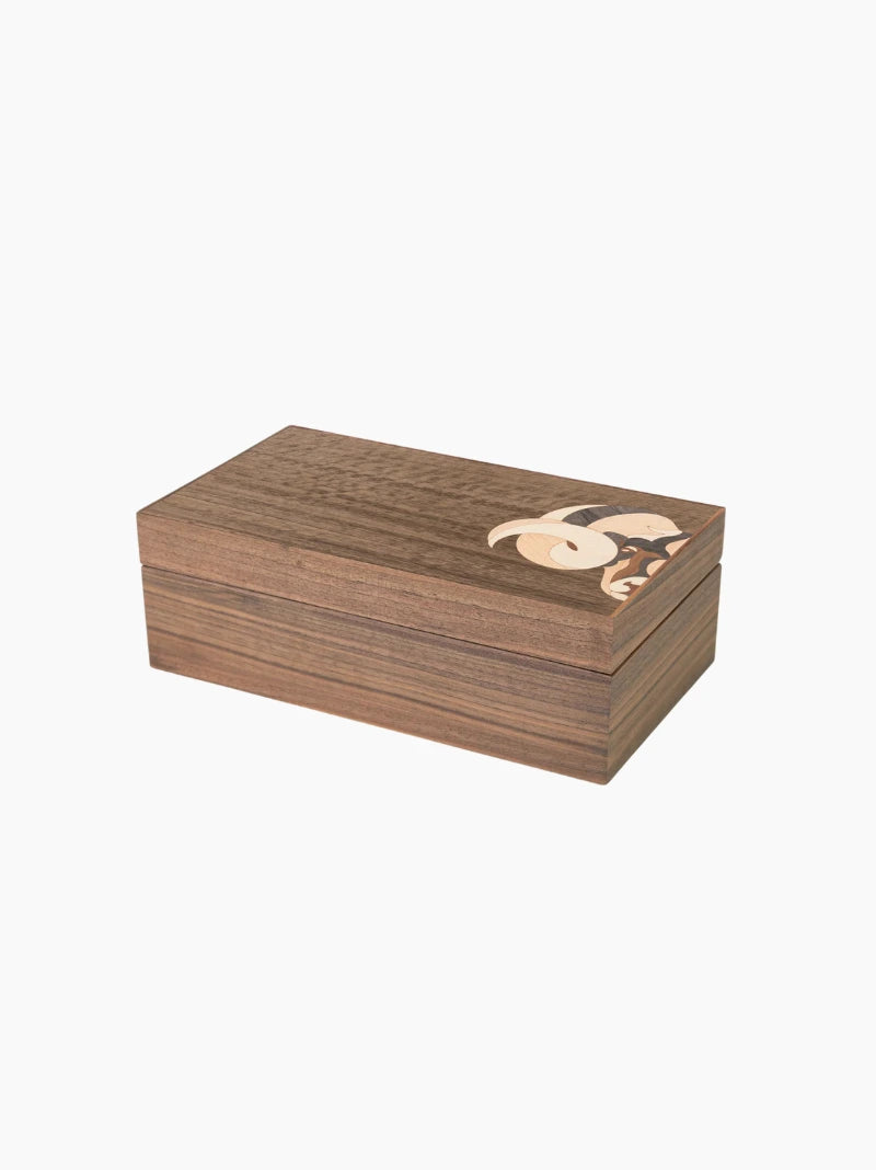 Large Zodiac Box