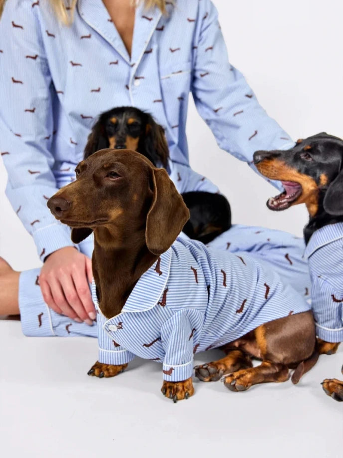 Dachshund Dog & Owner Matching Pyjamas