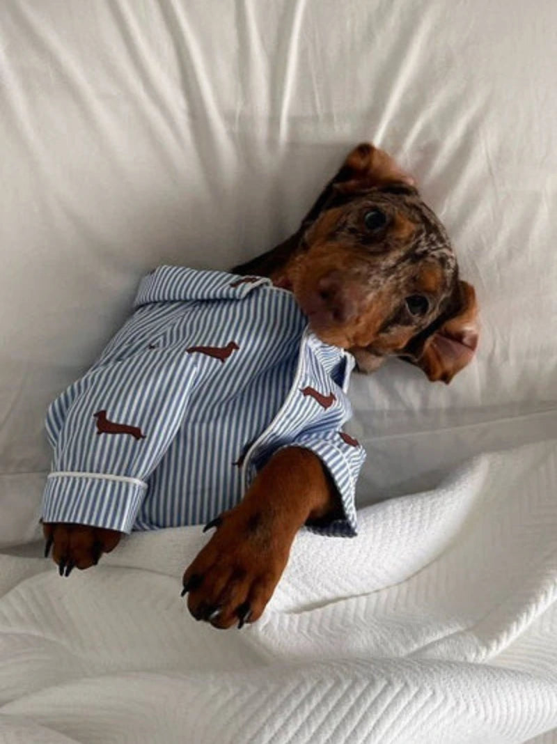 Dachshund Dog & Owner Matching Pyjamas