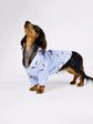 Dachshund Dog & Owner Matching Pyjamas