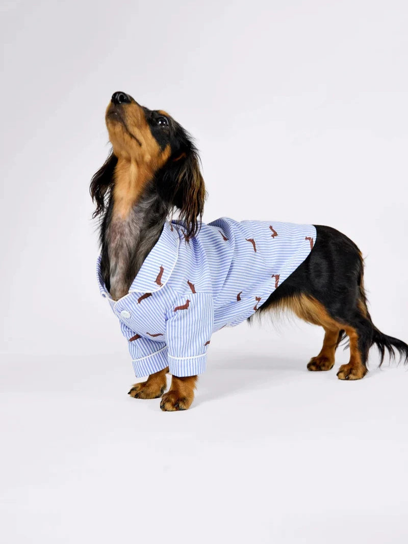 Dachshund Dog & Owner Matching Pyjamas