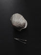 Vintage Small Shell Box