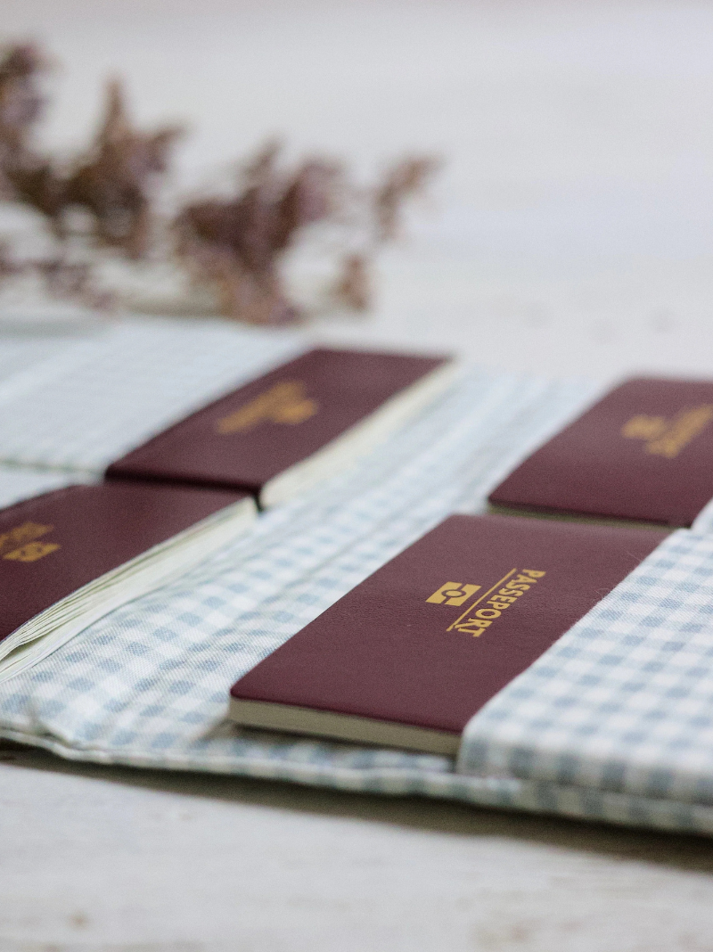 Family Passport Holder