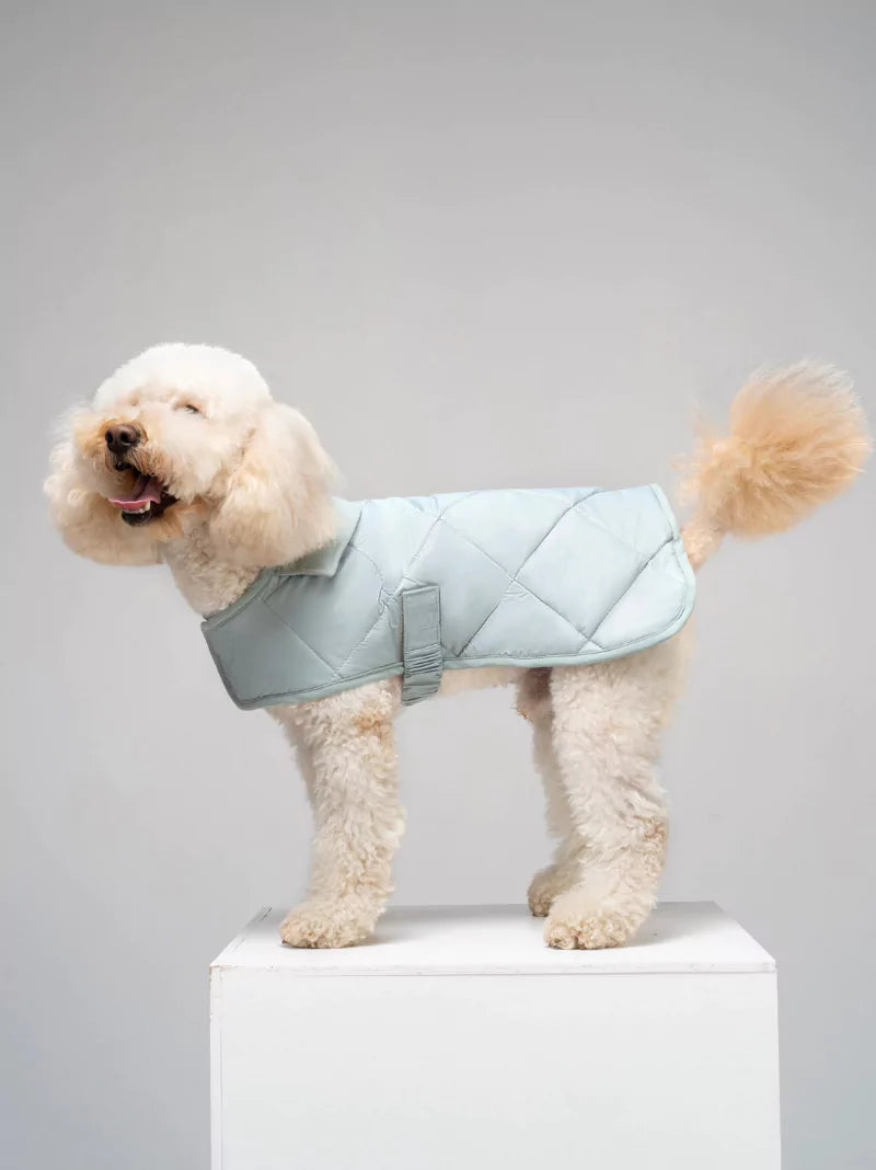 Blue Quilted Dog Coat