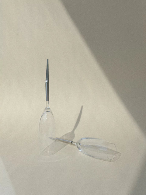 Crystal Picnic Champagne Glasses Set of 2