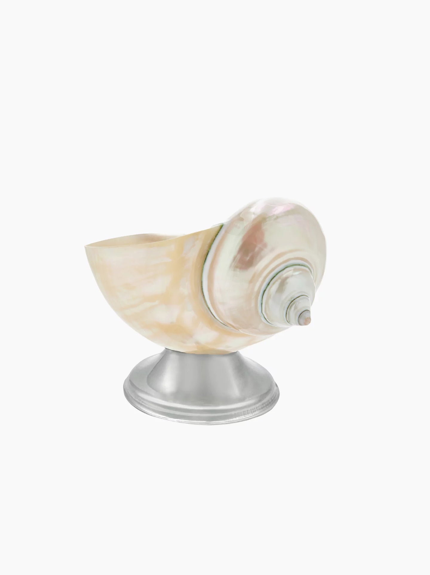 Shell Decor Bowl