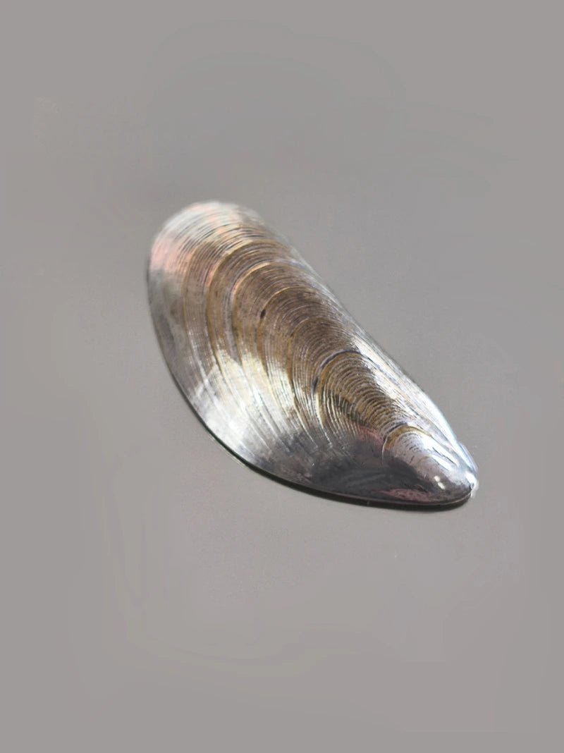 Vintage Small Shell Dish