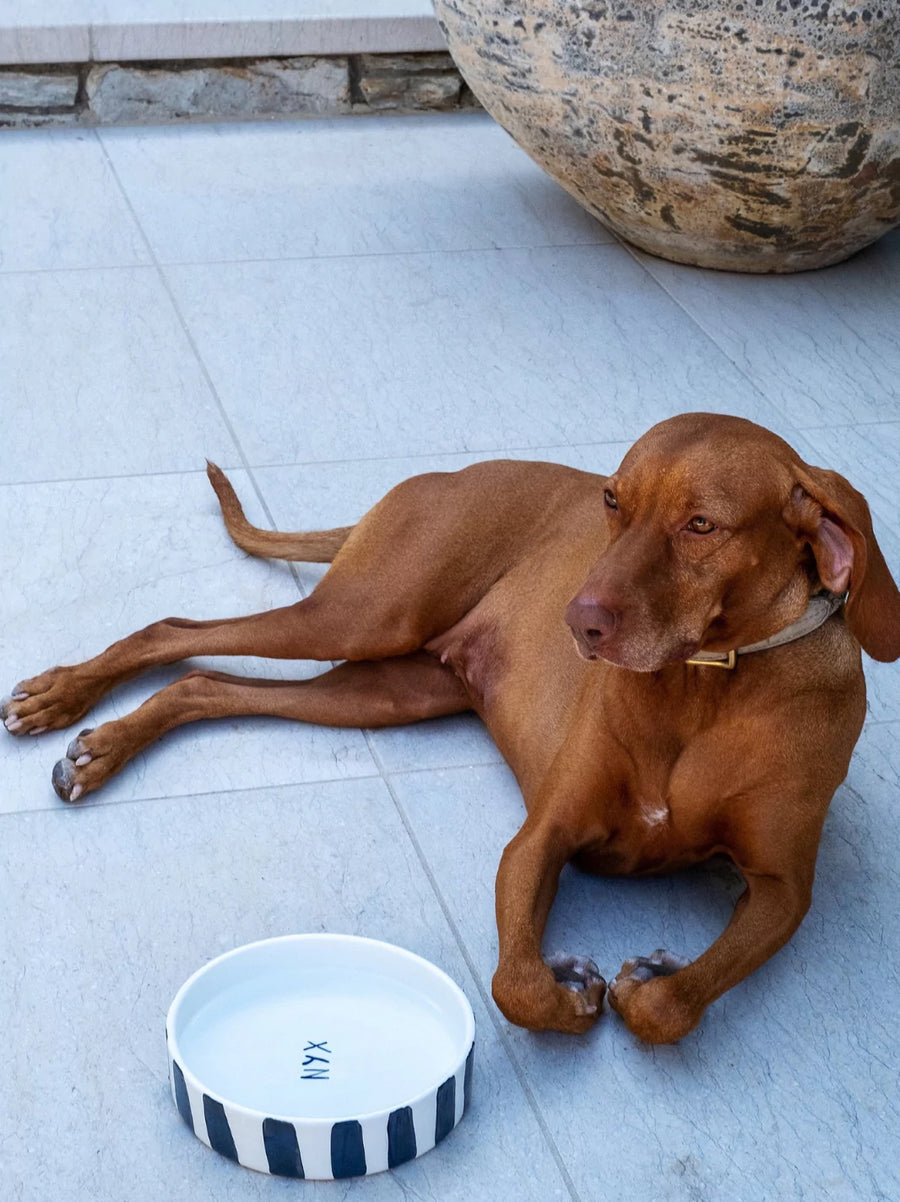 Personalised Striped Pet Bowl