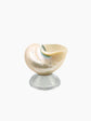 Shell Decor Bowl