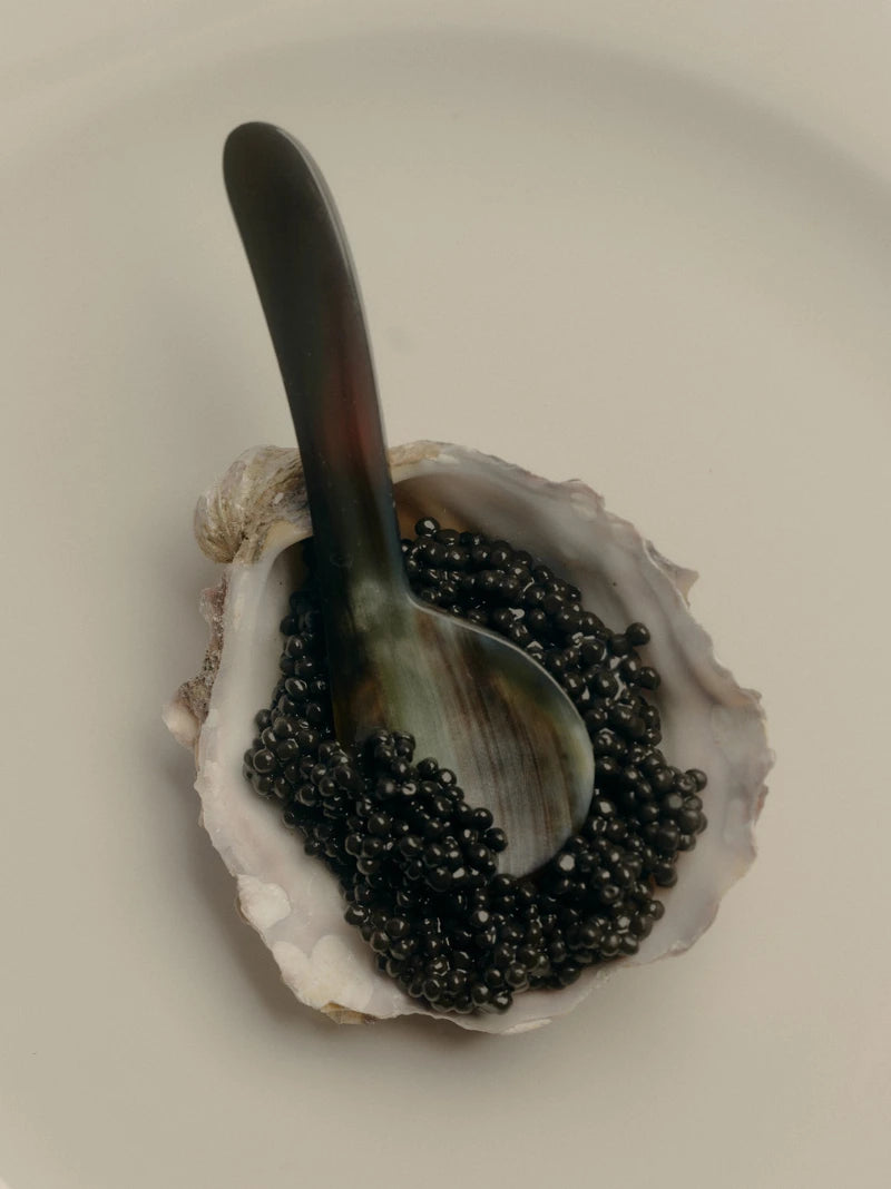 Tide Caviar Spoons Set of 2