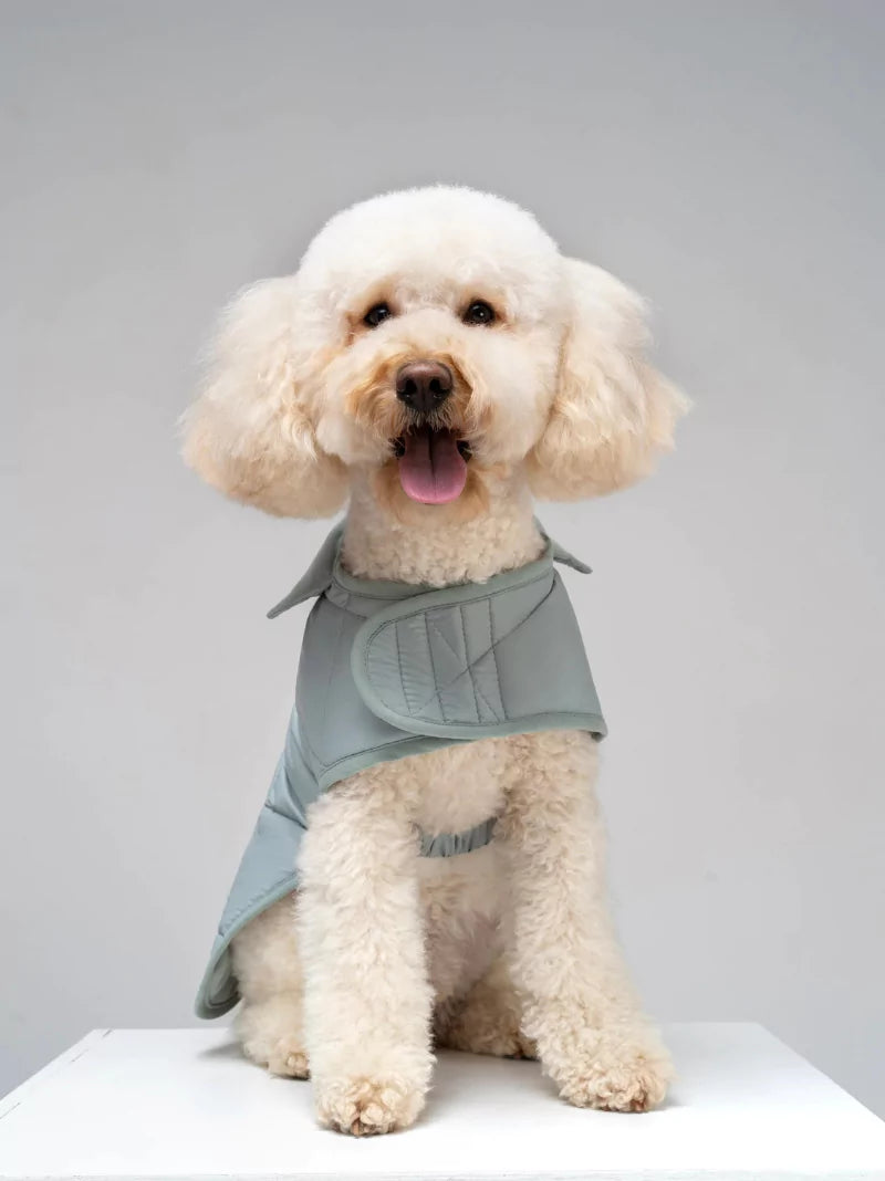 Blue Quilted Dog Coat