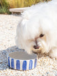 Personalised Striped Pet Bowl