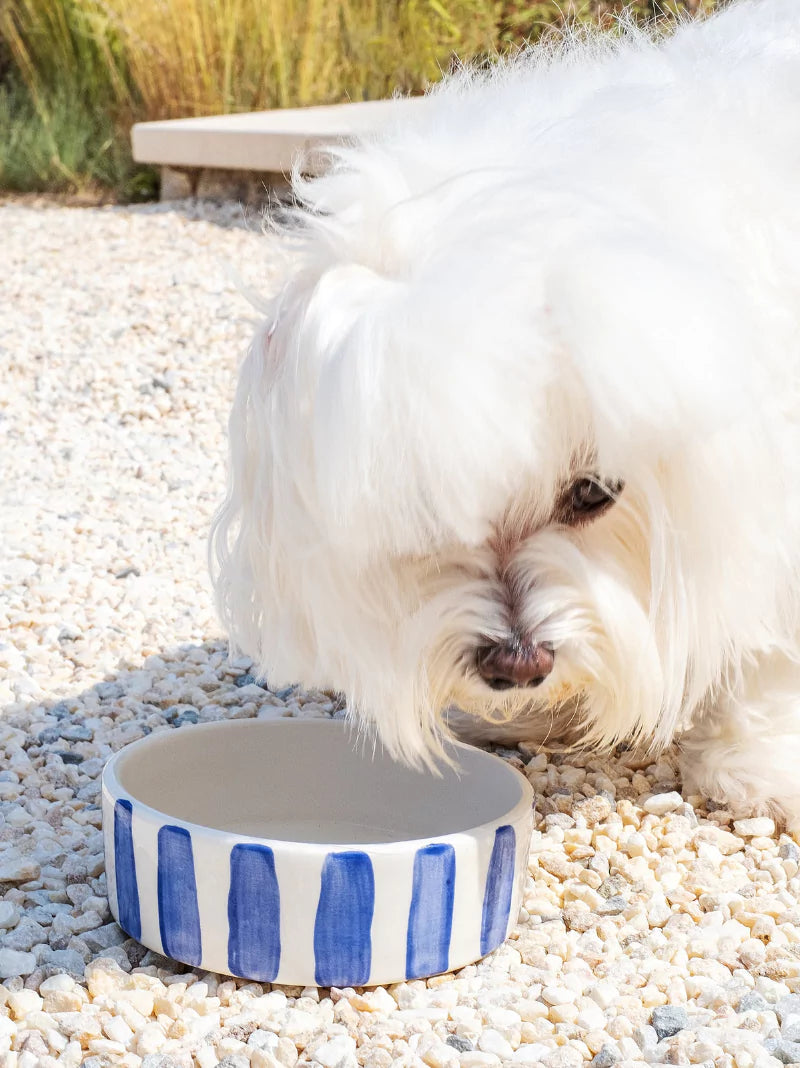 Personalised Black Striped Pet Bowl