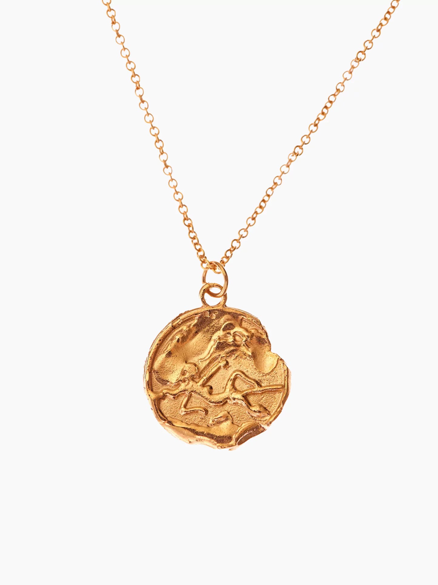 Zodiac Medallion Necklace