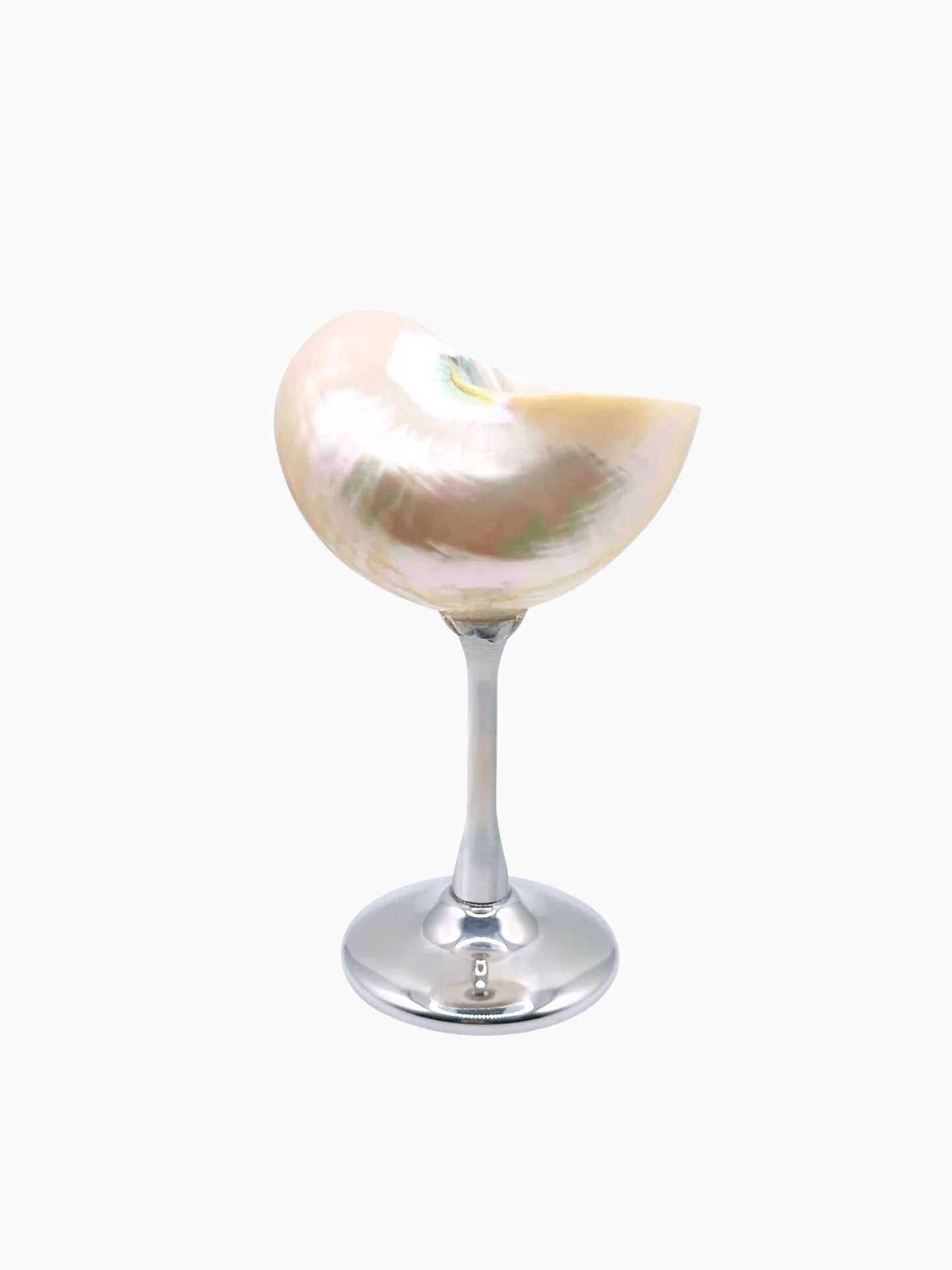 Shell Cocktail Glass