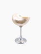 Shell Cocktail Glass