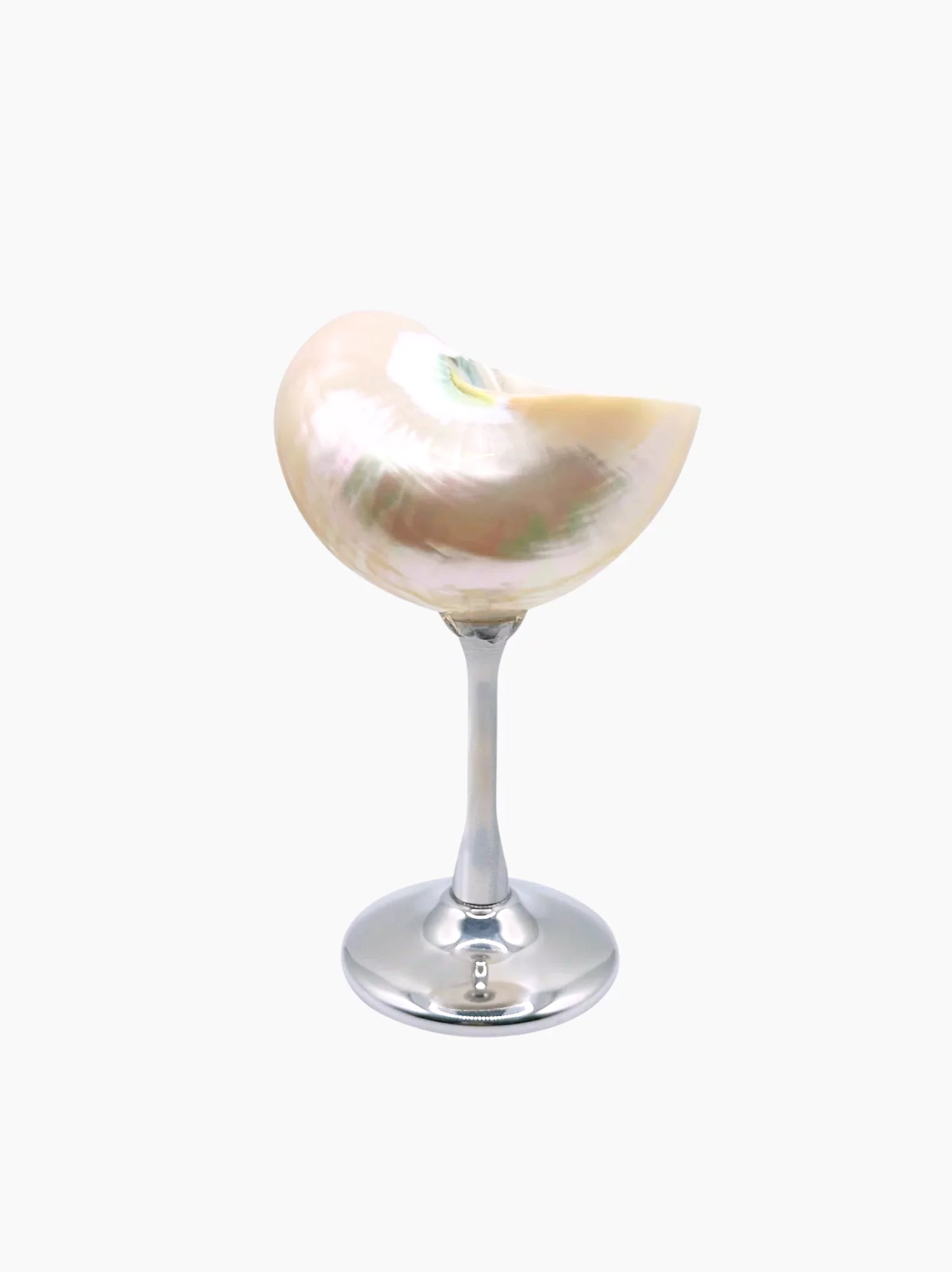 Silver Shell Cocktail Glass | The Go-To