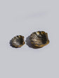 Vintage Brass Shells Trinket Tray