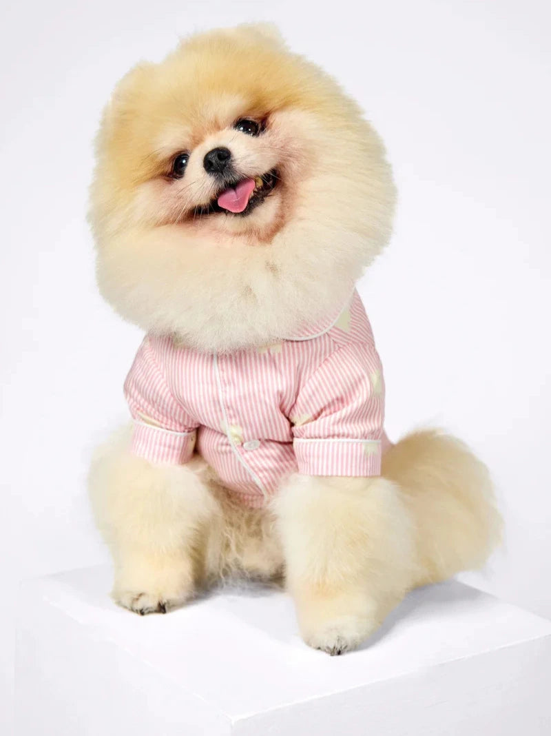 Pomeranian Dog & Owner Matching Pyjamas