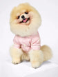 Pomeranian Dog & Owner Matching Pyjamas