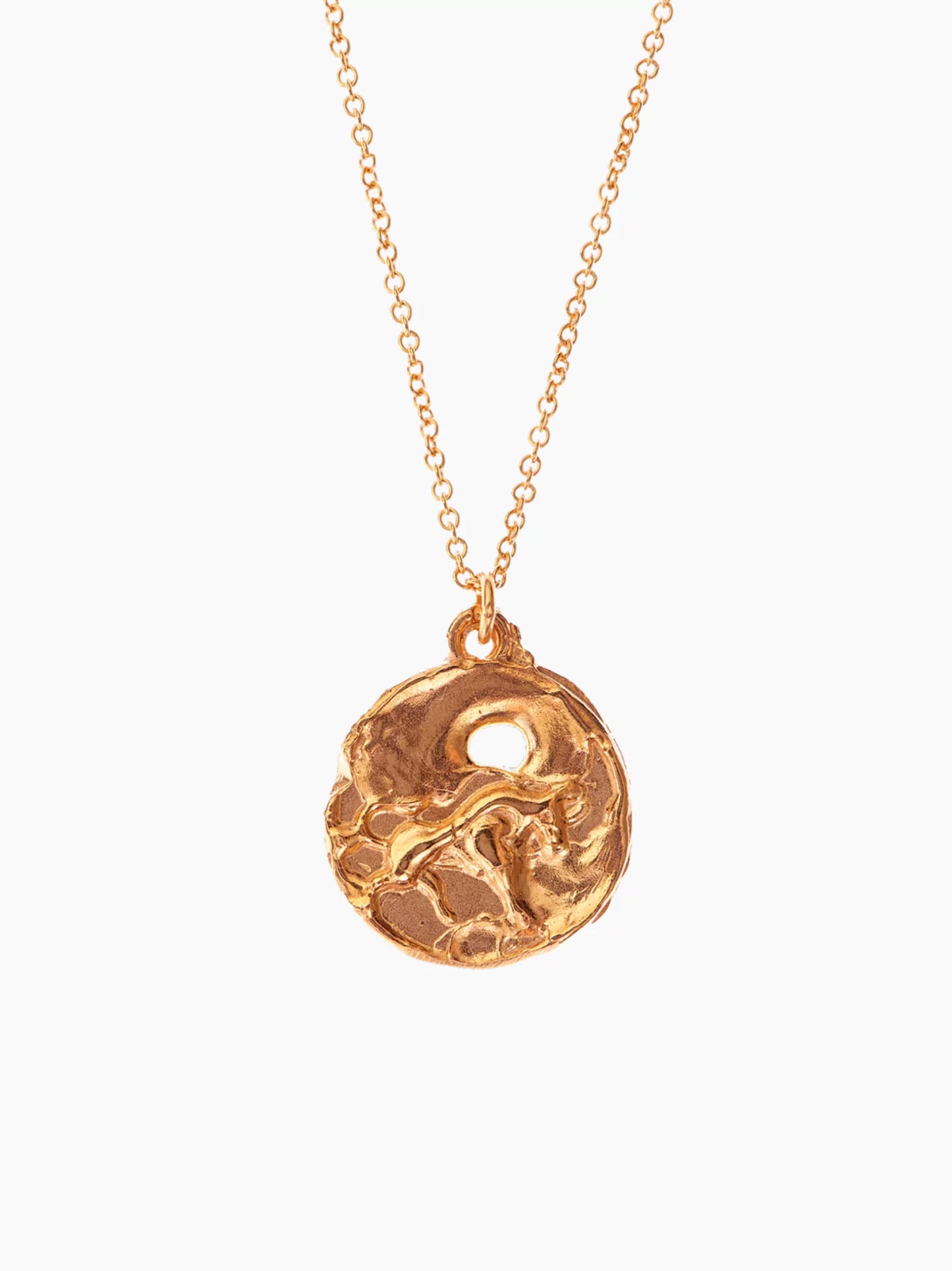 Zodiac Medallion Necklace