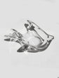 Vintage Fish Trinket Tray